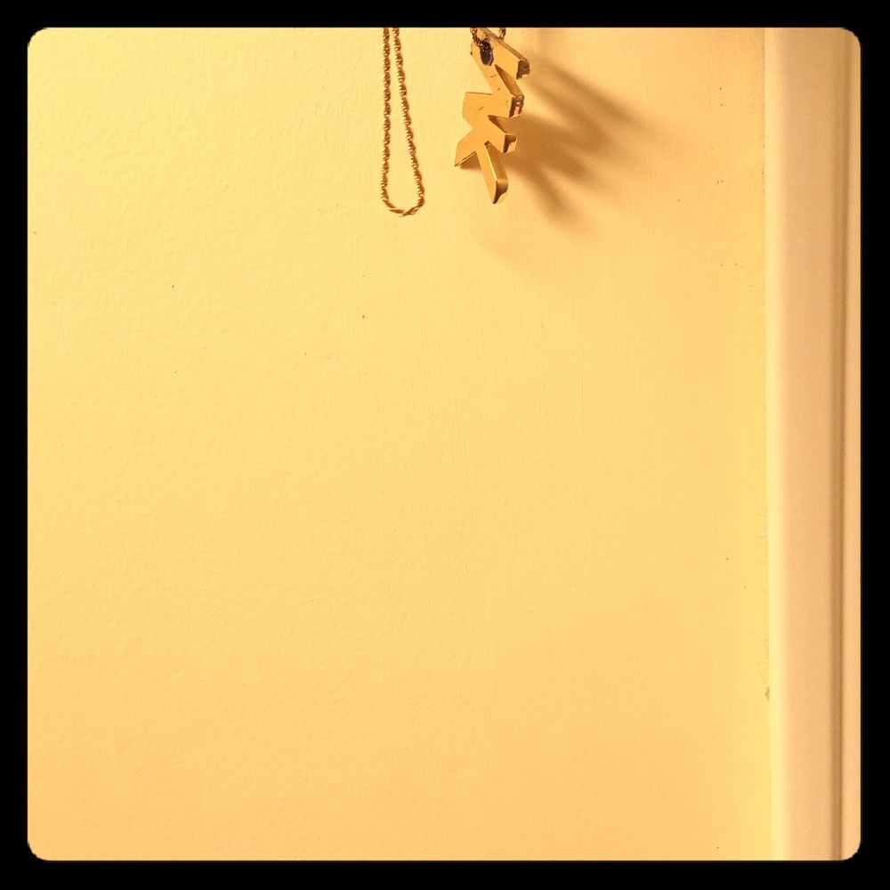 18" gold rope chain, custom Michael kors pendant